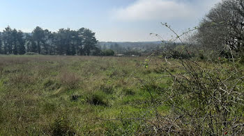 terrain à Lombron (72)