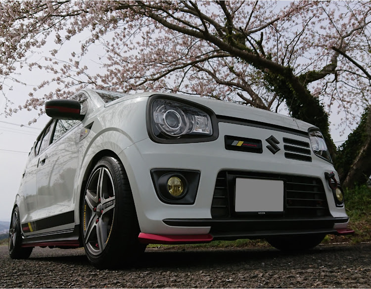 アルトワークスの桜と愛車・アルトワークスに関するカスタム事例の投稿画像2枚目