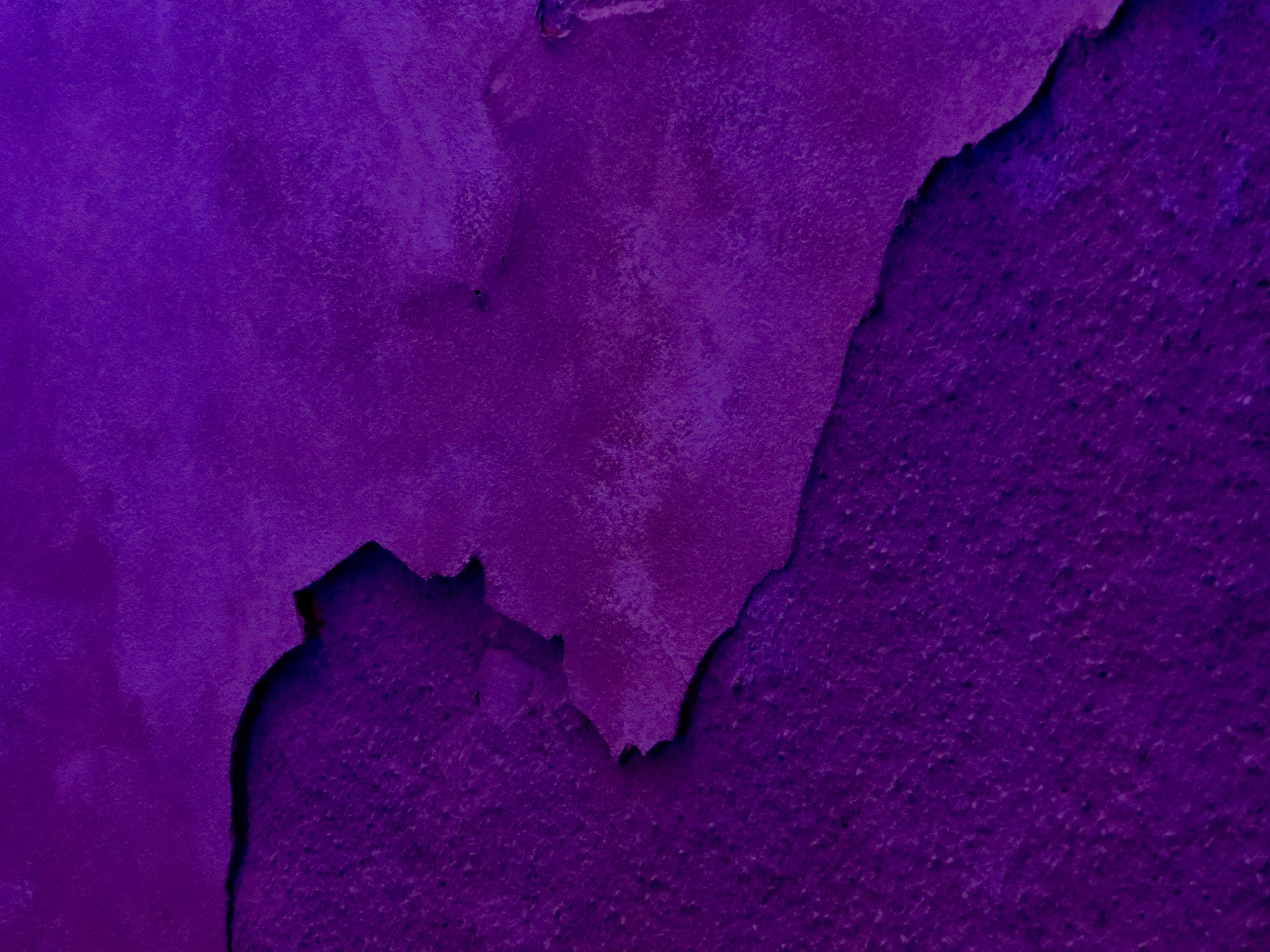 muro viola di mariellaturlon