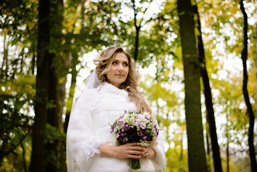 Wedding photographer Nikita Bukalov (nikeq). Photo of 6 November 2015