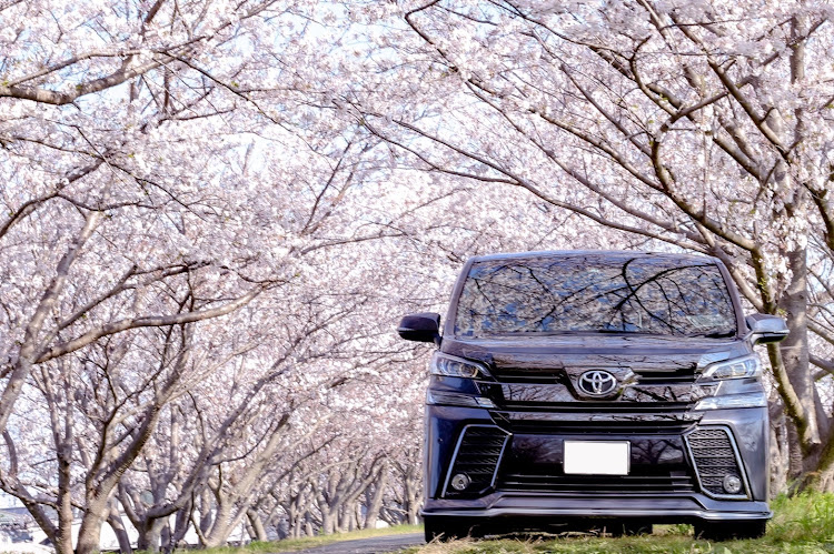 ヴェルファイアのJスライド・J-AutoShow・コロナウイルスに負けるな・全国モバイルmtに関するカスタム事例の投稿画像2枚目