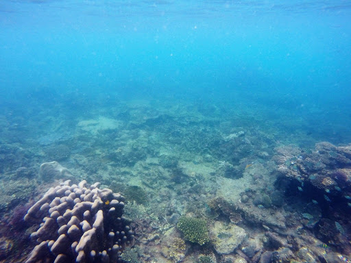 Bintan Underwater Indonesia 2016