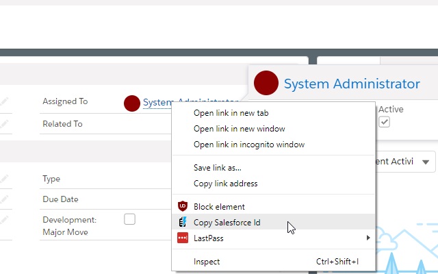 Salesforce Id CopyPasteGo Preview image 0