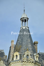 château à Angers (49)