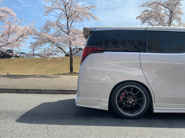 アルファードのM'z SPEED・関東アルヴェル軍団・Team M’z SPEED・桜とコラボ・サクラと愛車に関するカスタム事例の投稿画像14枚目