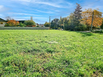 terrain à Saint-benoit (01)