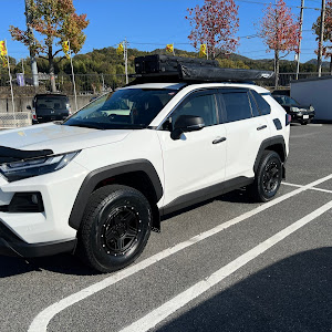 RAV4 AXAH54