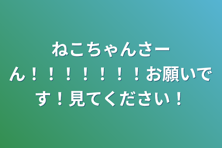 「ねこちゃんさーん！！！！！！！お願いです！見てください！」のメインビジュアル