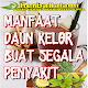 Download Manfaat Daun Kelor Buat Segala Penyakit For PC Windows and Mac 2.0.2