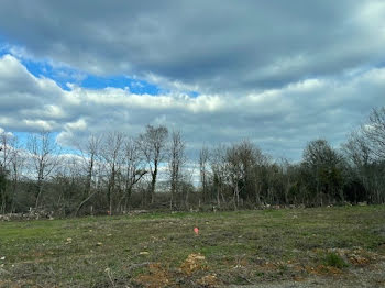 terrain à Ouzilly (86)