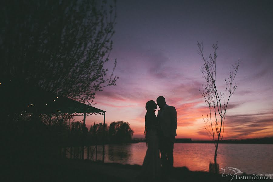 Photographe de mariage Anastasiya Lasti (lasty). Photo du 25 juin 2014