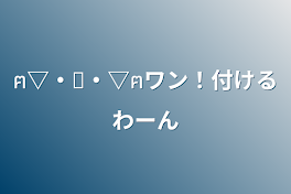 ฅ▽・ᴥ・▽ฅワン！付けるわーん