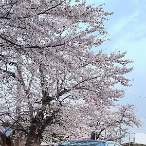 GRカローラ GZEA14H