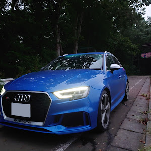 RS3 スポーツバック