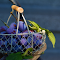 Item logo image for Purple Plums, Woven Basket's Velvet Bounty