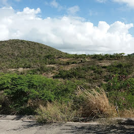 terrain à Saint-Martin (971)