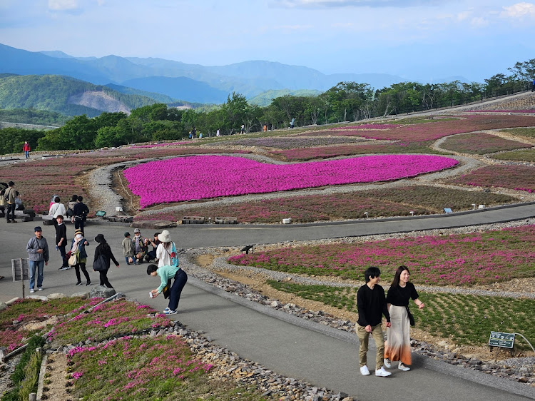 エキシージ Sのイルカ池クラブ・ロータスクロカン部・デコ・茶臼山の芝桜、ほぼ終わってた・お腹の調子が悪いに関するカスタム事例の投稿画像9枚目