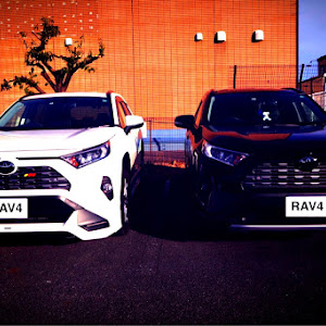 RAV4 MXAA54