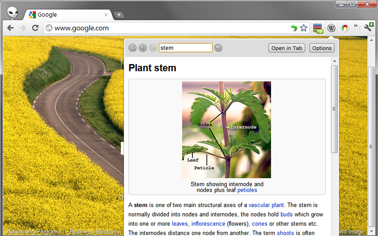 Lookup Companion for Wikipedia Preview image 8