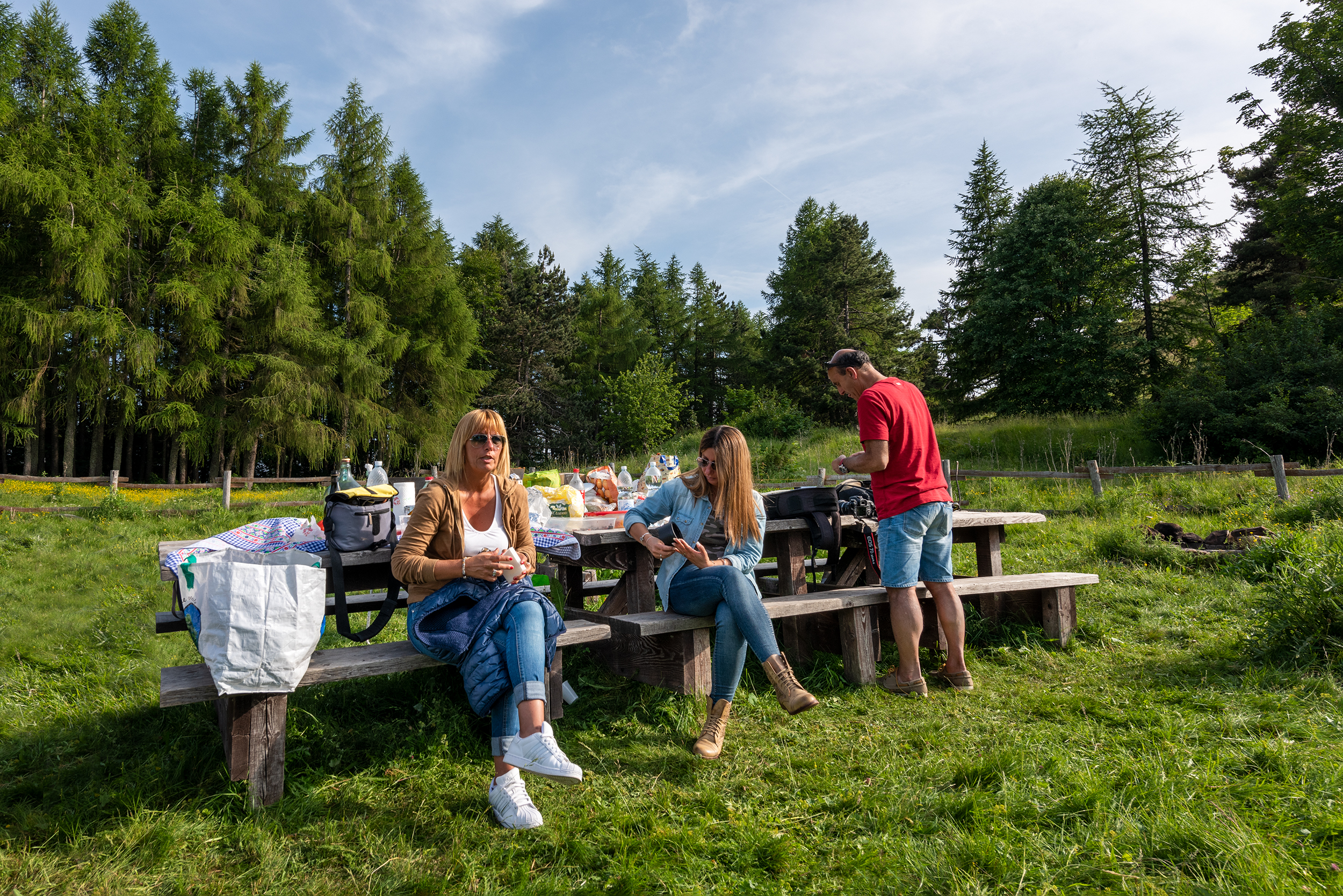 Un piacevole picnic tra amici di Giancarlo Lava