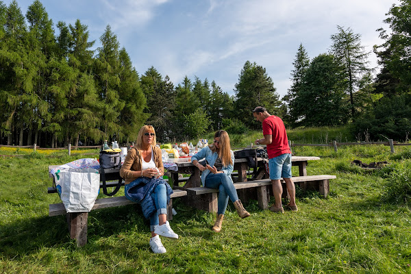 Un piacevole picnic tra amici di Giancarlo Lava