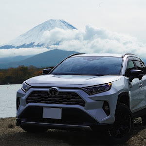 RAV4 MXAA54