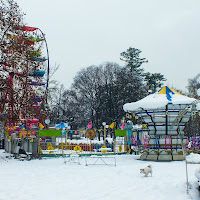 Chiuso per neve di 