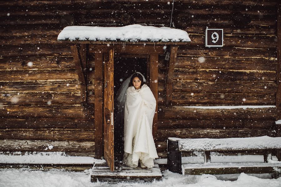 Bröllopsfotograf Dmitriy Gvozdik (gvo3d). Foto av 14 mars 2014