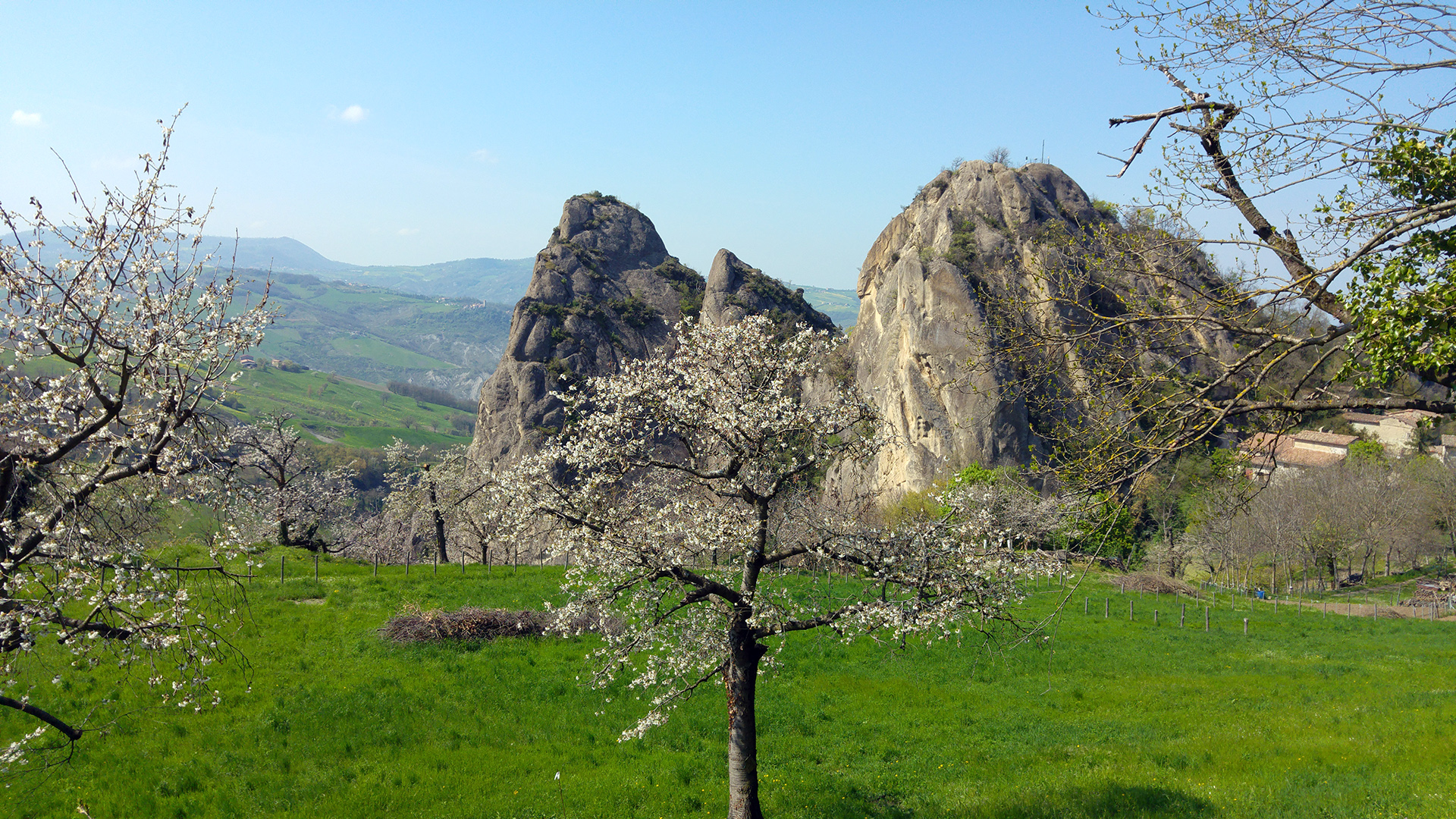 Voglia di primavera di silvergdb