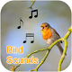 Download Bird Sounds Collection (Offline) For PC Windows and Mac 1.0