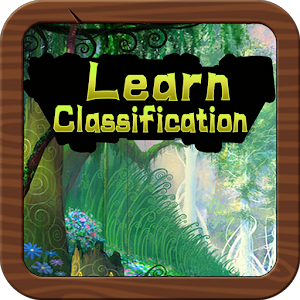 Learn Classification