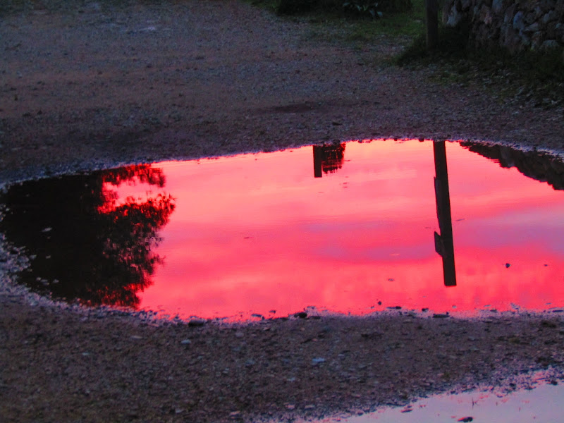 Pozzanghera riflessiva di Danny_Skylix