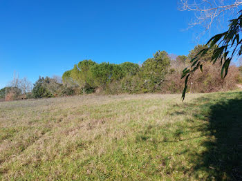 terrain à Montauban (82)