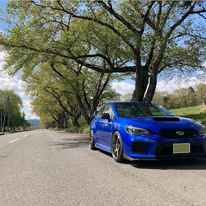 WRX STI VAB