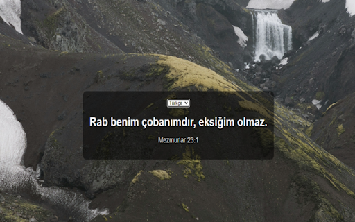 Bible Momentum