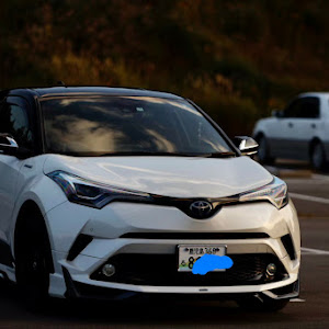 C-HR ZYX10