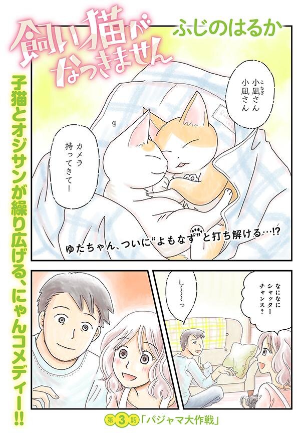 なついてもらうにはパジャマが効果的 飼い猫がなつきません 3 Trill トリル