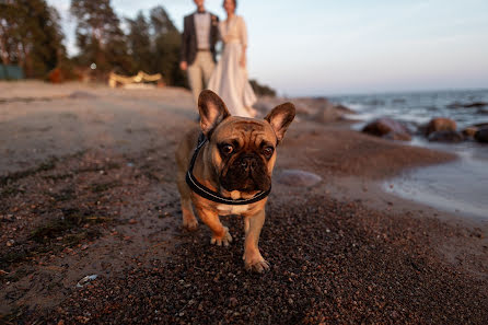 Bröllopsfotograf Nikita Kruglov (kruglovphoto). Foto av 23 april 2019