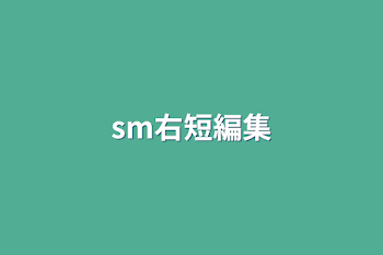 sm右短編集