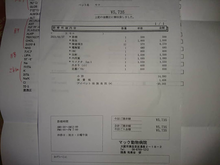 ムーヴカスタムのトイプードル・腰痛？・保険は大事・コロナが早く終息しますようにに関するカスタム事例の投稿画像4枚目