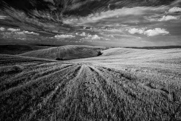 Toscana di tolmino