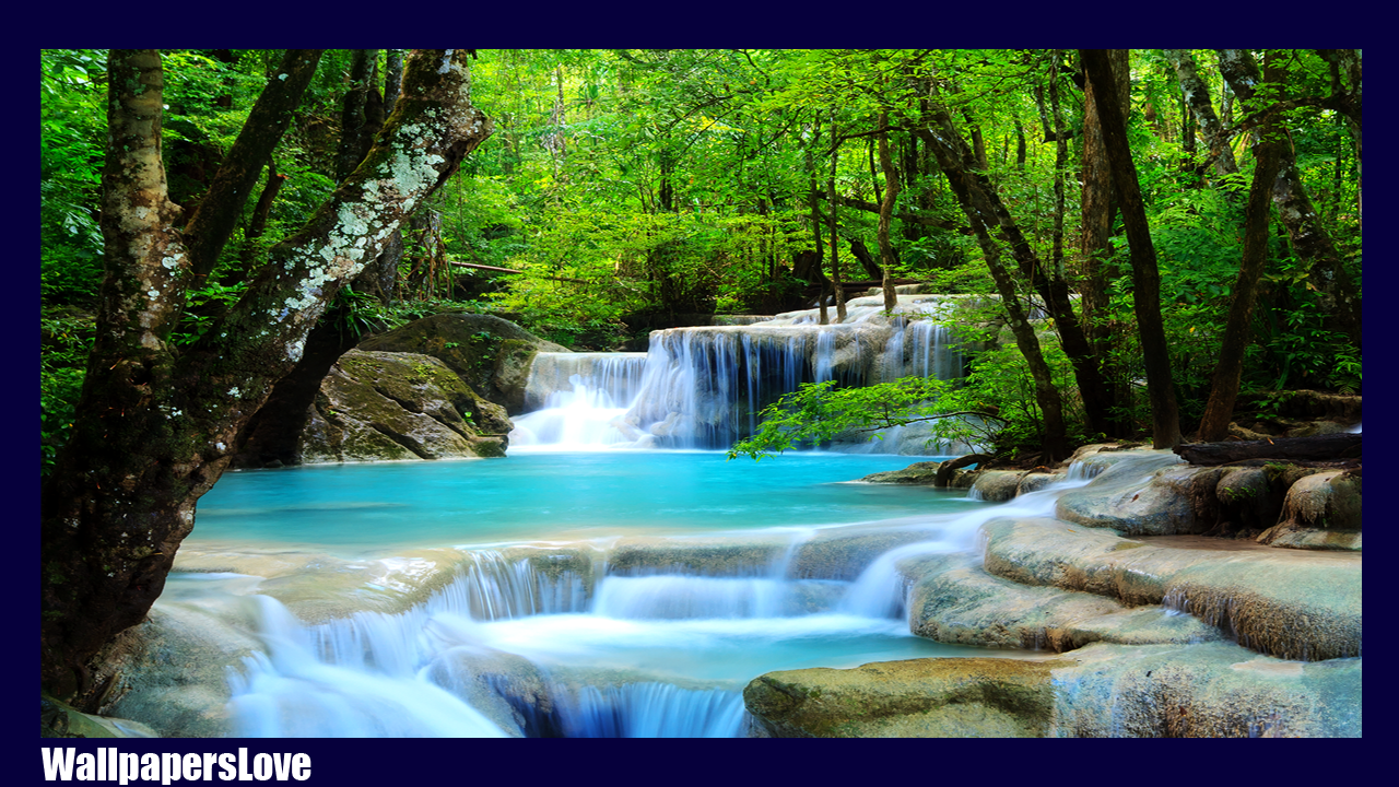 Waterfall Forest HD Wallpaper Apl Android Di Google Play