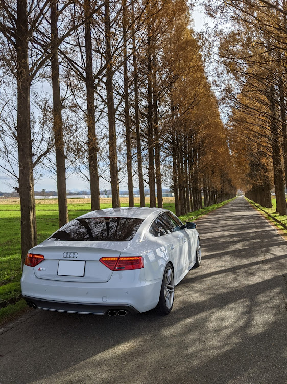 S5 スポーツバックのドライブ・洗車・アウディ・アウディS5sportback・メタセコイア河北潟に関するカスタム事例の投稿画像3枚目