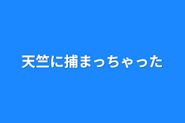 天竺に捕まっちゃった