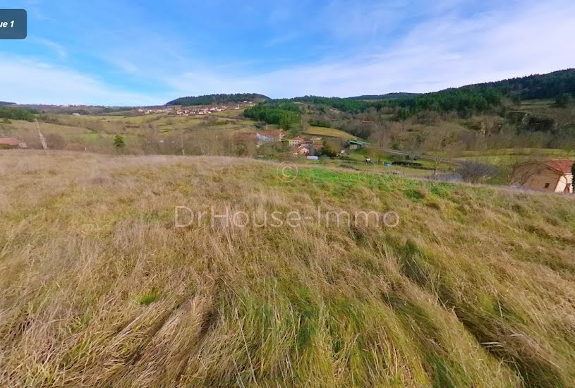  Vente Terrain agricole - 6 345m² à Alleyrac (43150) 