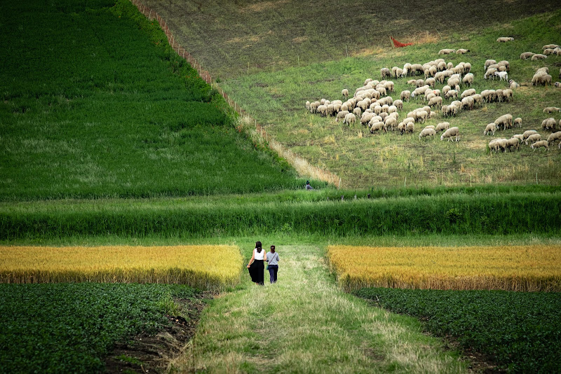 Terra da vivere di utente cancellato