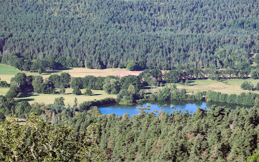 lake in the middle of the green forest Preview 1