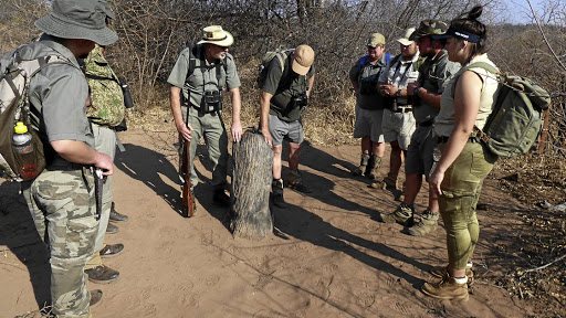 Marakele National Park is the closest national park to Gauteng that offers big-game walking.