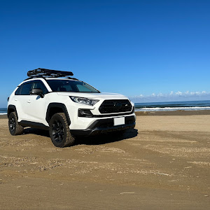 RAV4 MXAA54