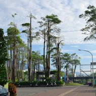 山水居休閒農場 •客家餐廳